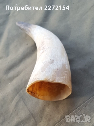 Рог чаша, снимка 2 - Антикварни и старинни предмети - 51435653