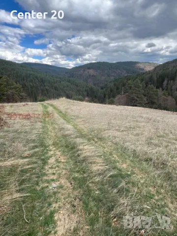 Парцел във вилна зона м. Дикчан, снимка 9 - Парцели - 50097238