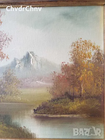 38x33см/2бр стари картини масло върху платно/пейзажи/картина в дървена рамка, снимка 5 - Картини - 49028098