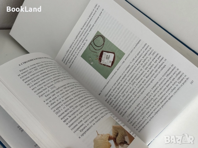 Стволови клетки – Стоян Чакъров, Румена Петкова, Румен Панков, снимка 13 - Специализирана литература - 51722572