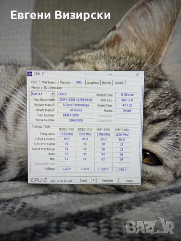 Видеокарта XFX RX6600 8Gb DDR6 , снимка 5 - Видеокарти - 48902543