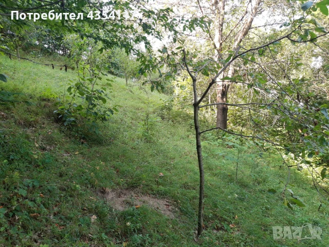 Продавам урегулиран парцел в село Балани, област Габрово, снимка 3 - Парцели - 50905937