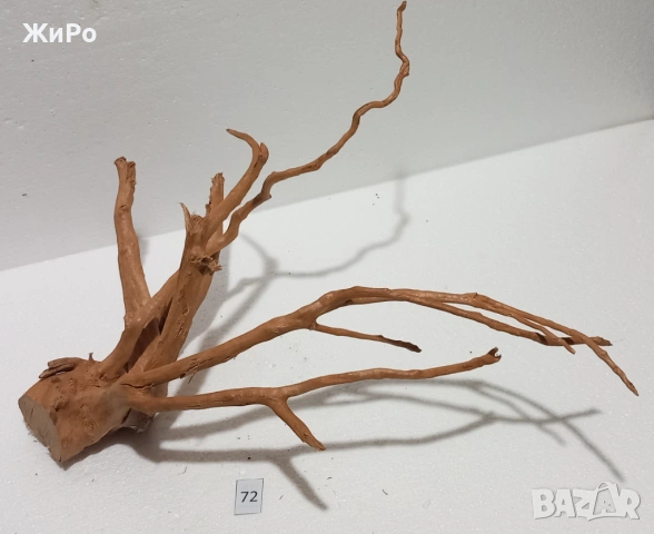 Корен от Азалия /декорация/ 72