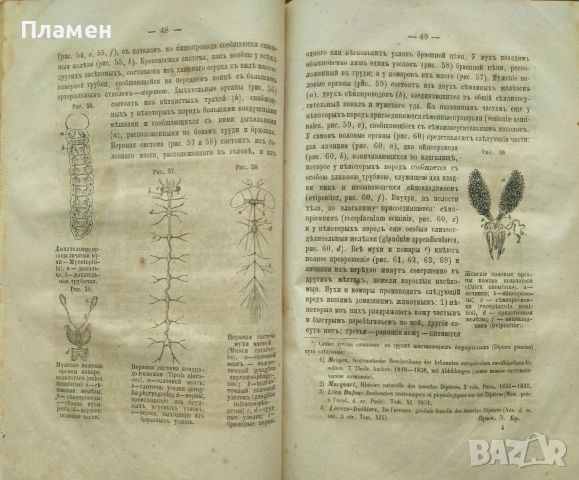Животньiе паразитьi и болезни Э. К. Брандтъ /1873/, снимка 4 - Антикварни и старинни предмети - 53188537
