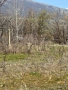 ТОП! Земеделска земя до гл път Карлово-Бургас, снимка 6