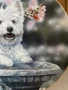 Колекционерска чиния от серия “ Westies “, снимка 3