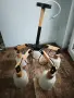 Модерен полилей , снимка 5