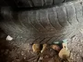 Зимни гуми д джанти, снимка 3