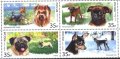 Чисти марки Фауна Кучета 2019 от Русия, снимка 1 - Филателия - 42138175