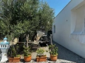 Вила “Four olives” под наем , Паралия Офринио, снимка 10