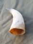 Рог чаша, снимка 2