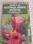 лютеници, айвари, апетитки, снимка 3