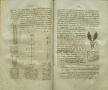 Животньiе паразитьi и болезни Э. К. Брандтъ /1873/, снимка 4