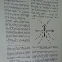 Black's medical dictionary, снимка 9 - Специализирана литература - 29883762