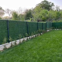 Жив плет, трева, мрежа и ограда, Защита от любопитни съседи!, снимка 7 - Огради и мрежи - 40570459