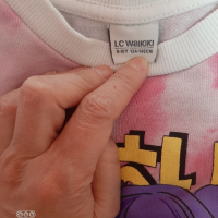 Блузки с дълъг ръкав , снимка 8 - Детски Блузи и туники - 44456999