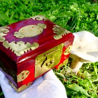 Луксозна кутия за бижута с нефрит и месингов обков. , снимка 15 - Антикварни и старинни предмети - 30563569