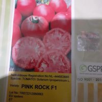 Семена домати Пинк Рок и Пинк Торнадо,Ръгби, снимка 2 - Разсади - 36159206