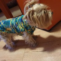 Плетена дрешка за куче М размер Различни цветове , снимка 1 - За кучета - 44343726