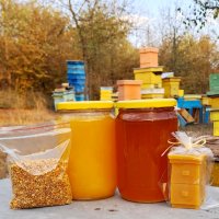 Продавам Пчелен Мед, снимка 1 - Пчелни продукти - 41662482