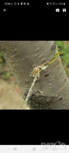 Вирига /синджир/за рязане, снимка 1