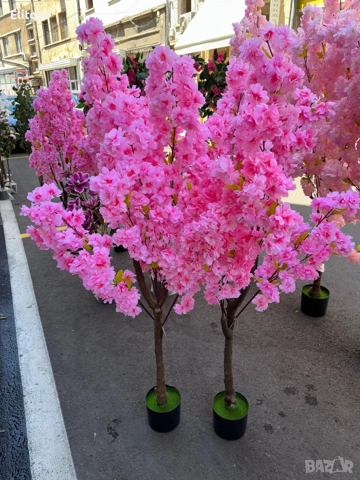 Изкуствено декоративно дърво, Цъфтяща сакура, 1.7 м, снимка 1