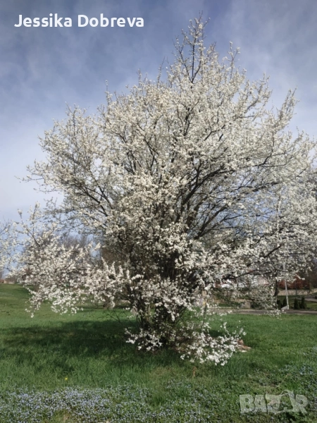 Продавам парцел УПИ , снимка 1