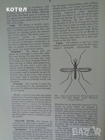 Black's medical dictionary, снимка 9 - Специализирана литература - 29883762