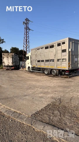 Транспорт на животни, снимка 3 - Транспортни услуги - 51029115