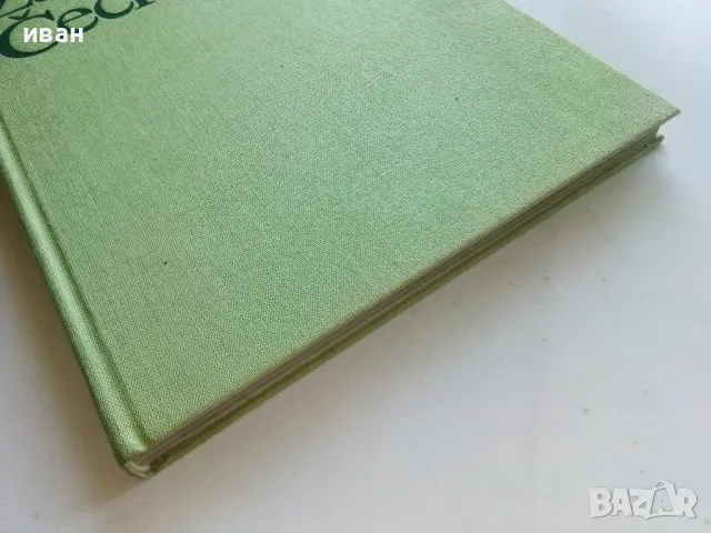 Албум " Западна Чехия" - 1983г., снимка 10 - Енциклопедии, справочници - 50111536