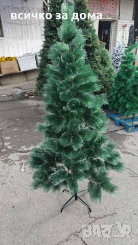 Елха с метална стойка 