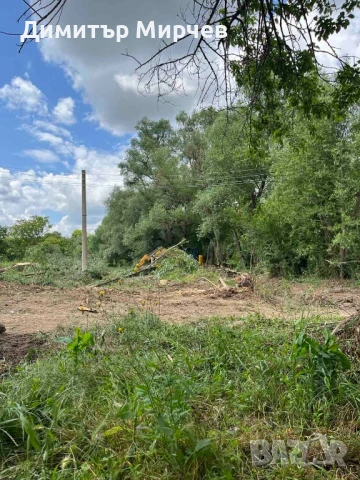 Рязане на високи опасни дървета Косене на тревни площи, снимка 10 - Други услуги - 50980475