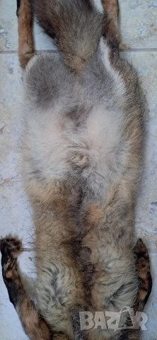 Кожа шал от лисица , снимка 11 - Антикварни и старинни предмети - 52920531