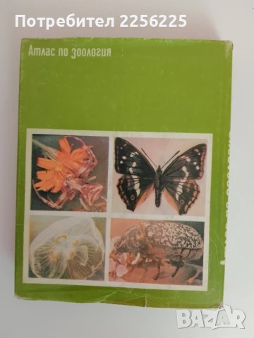 Атлас по зоология, снимка 6 - Специализирана литература - 51166042