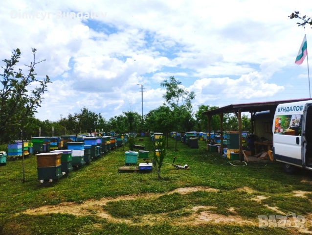 Пчелен мед, снимка 2 - Пчелни продукти - 51870626