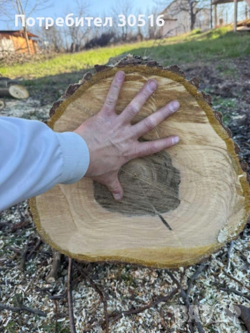 Орех, снимка 2 - Други - 54237186