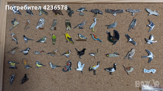 Колекция от значки