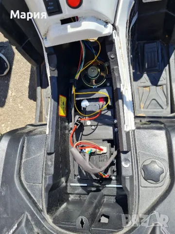 Бъги до 50 кг.-127,82 €, снимка 4 - Други - 49967866