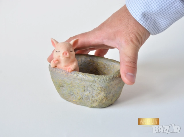 Мини Кашпа с Форма на Прасе в Корито / Закачлив Подарък за Рожден Ден / Мини Саксия за Сукуленти, снимка 9 - Саксии и кашпи - 52395247
