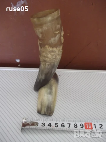 Поставка от биволски рог, снимка 5 - Колекции - 51359013