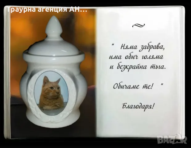 порцеланови снимки за хората и животните , снимка 7 - Траурни и погребални услуги - 50267306