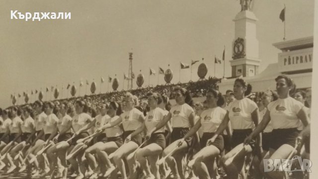 Много Рядък Знак от Спартакиадата в Прага 1955 г., снимка 7 - Антикварни и старинни предмети - 33996809