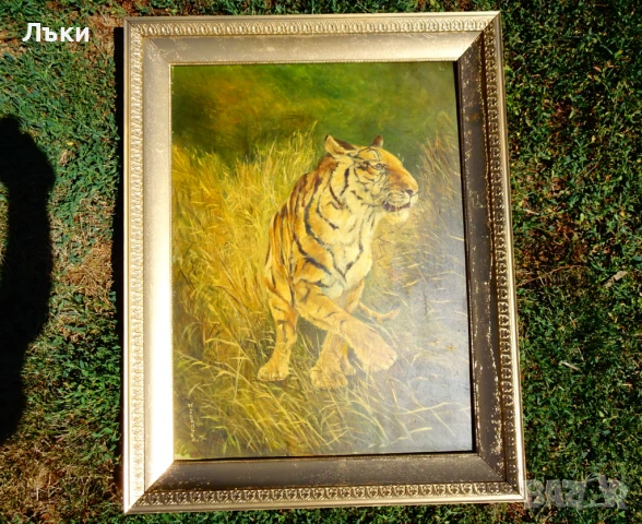 Картина Тигър,масло върху фазер,подпис,рамка. , снимка 4 - Картини - 51318936