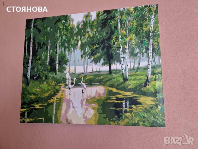 Нова картина 40см-50см