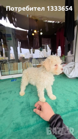 Лагото Романьоло, снимка 6 - Други - 52683367