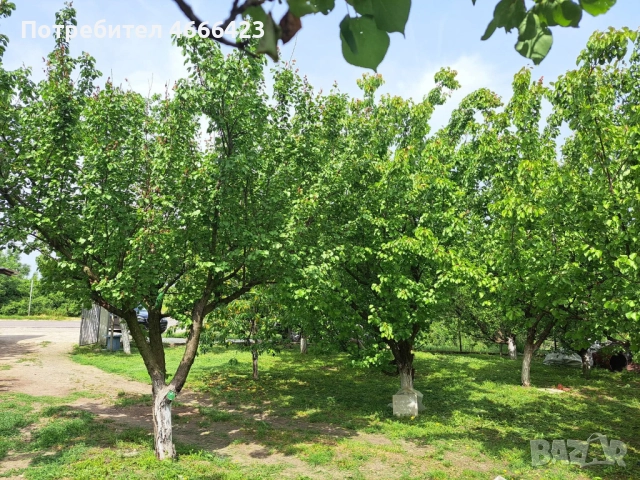 Собственик продава двуетажна масивна къща с три самостоятелни парцела и разработен бизнес , снимка 5 - Къщи - 52621406