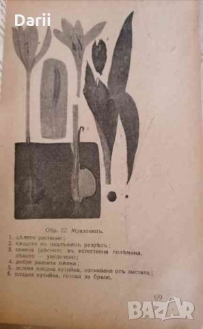 Наши билки. Част 3 -Богомил Гъбев, снимка 2 - Специализирана литература - 35059321