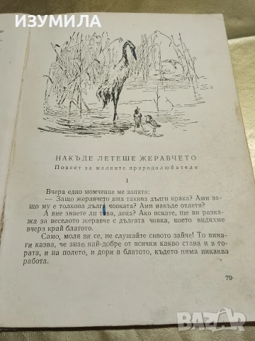Горски приказки - Оксана Иваненко, снимка 5 - Детски книжки - 53329307