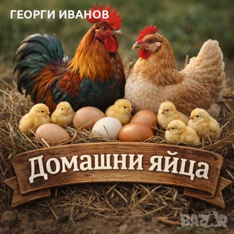 Домашни яйца