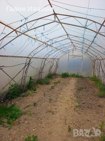 Оранжерия , снимка 2 - Оранжерии - 54237541